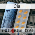 Cial 44